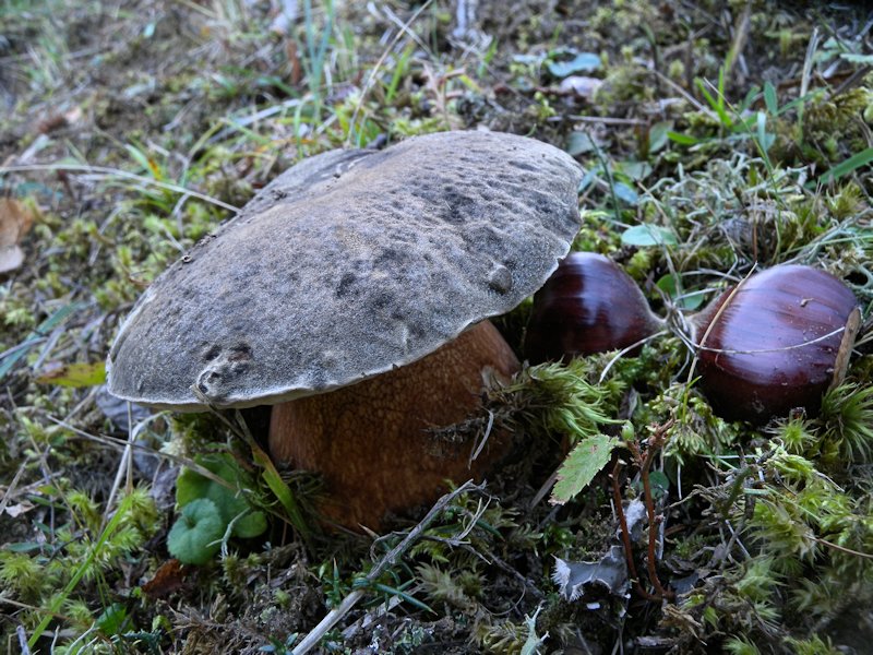 Forse l''ultima bellissima giornata..!!